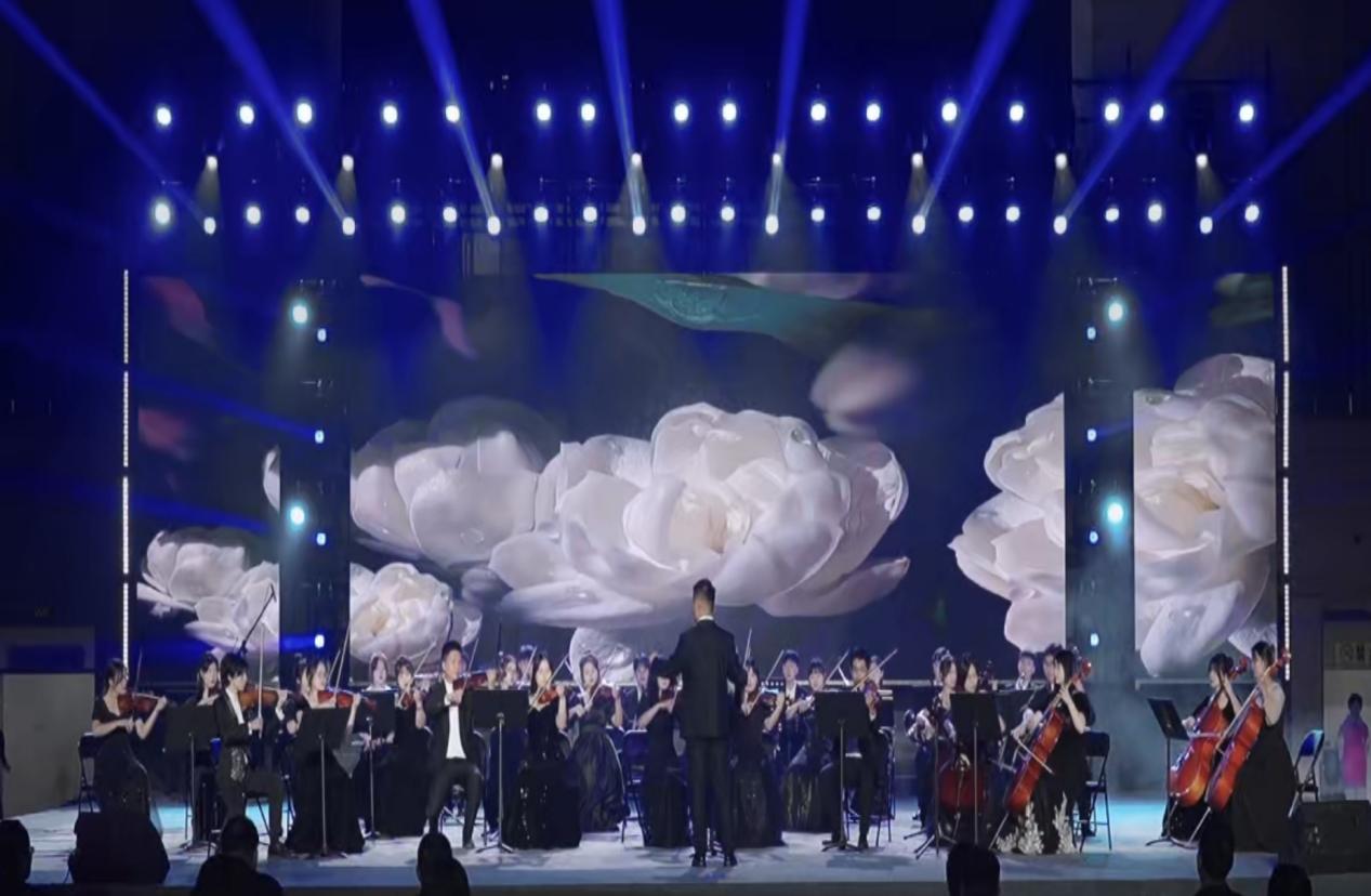 c9025464bdafdf7ab23bdd9f5eec214